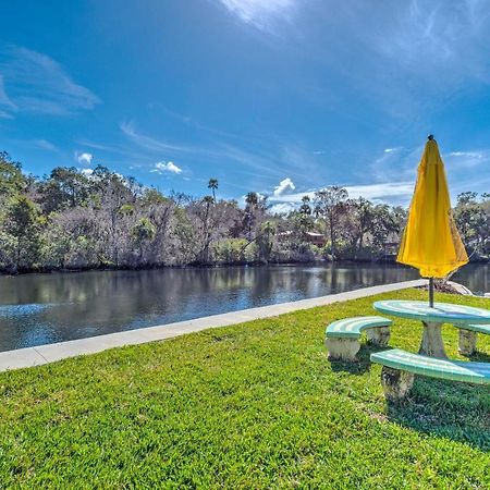 Withlacoochee River House With Dock And Kayaks! Yankeetown Eksteriør bilde