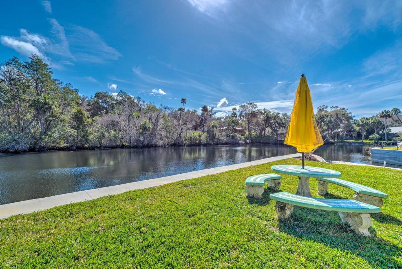 Withlacoochee River House With Dock And Kayaks! Yankeetown Eksteriør bilde