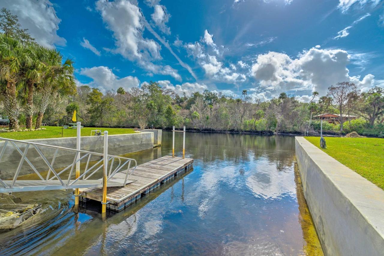Withlacoochee River House With Dock And Kayaks! Yankeetown Eksteriør bilde